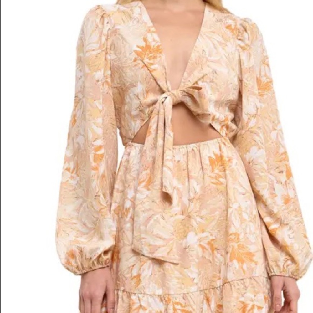 Free the roses maxi dress size small